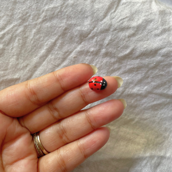 Lucky Ladybug Trio - Image 4