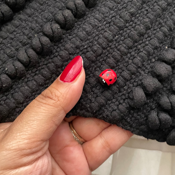 Lucky Ladybug Trio - Image 5